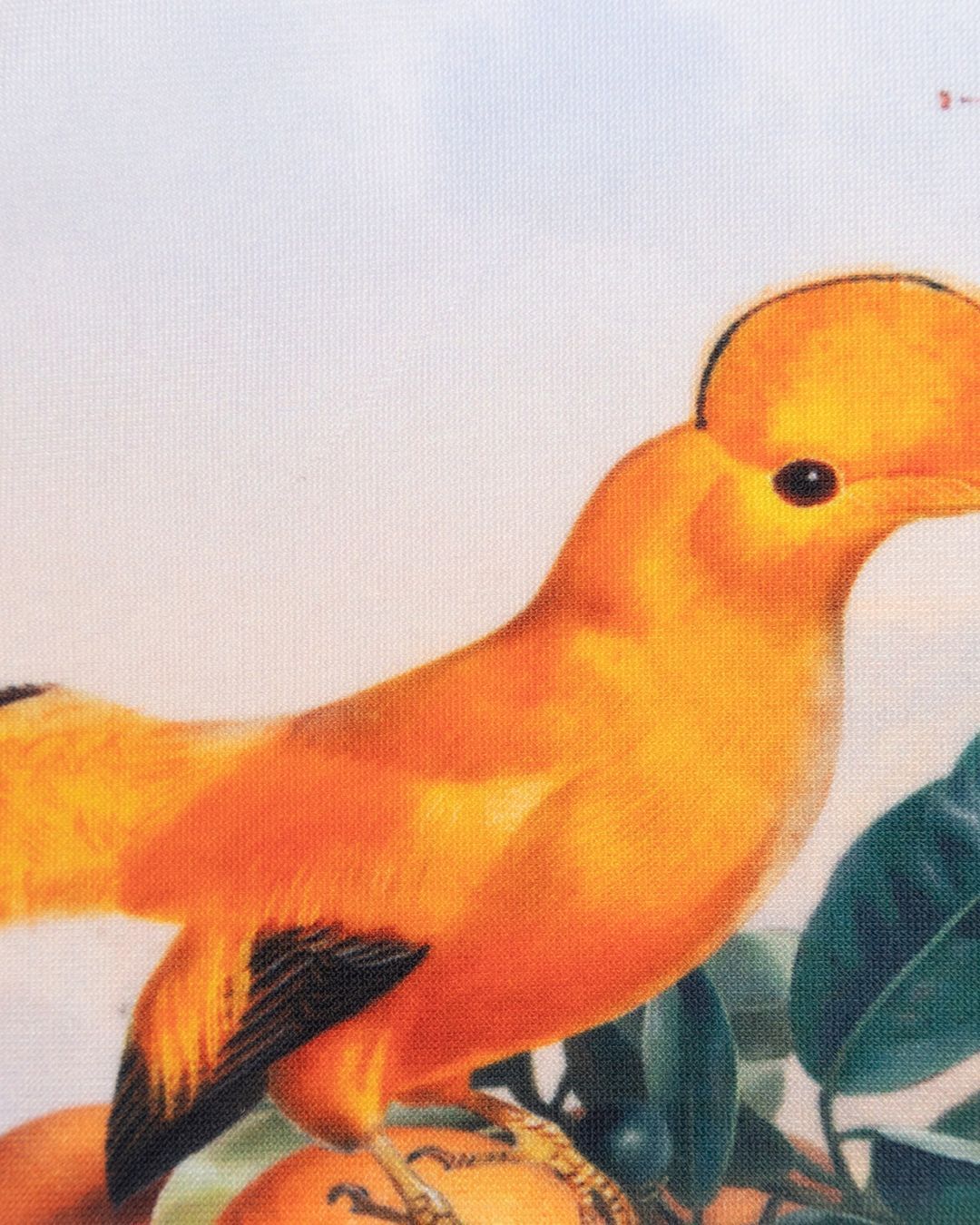 Купить Купальник MOLO