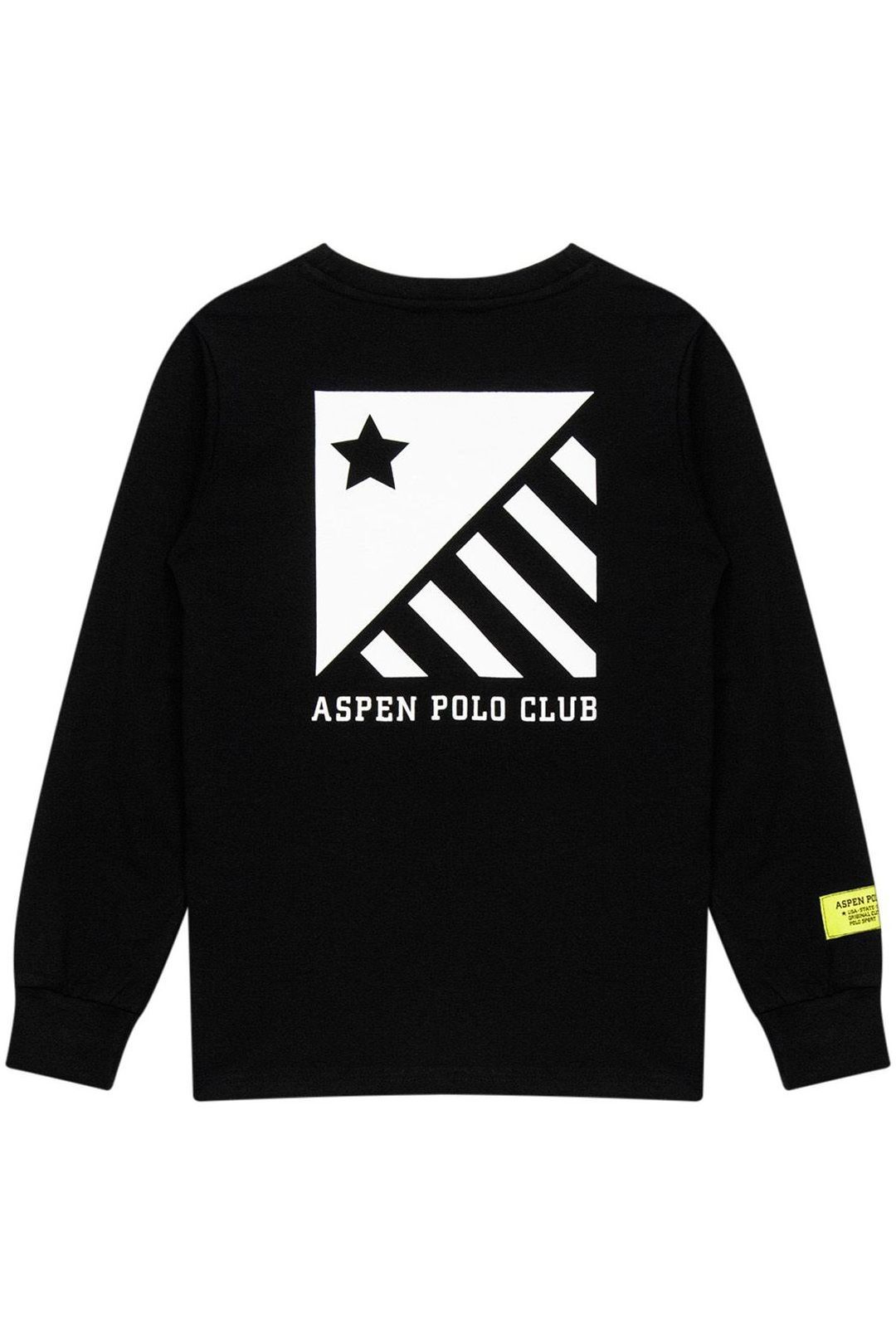 Купить Футболка ASPEN POLO CLUB