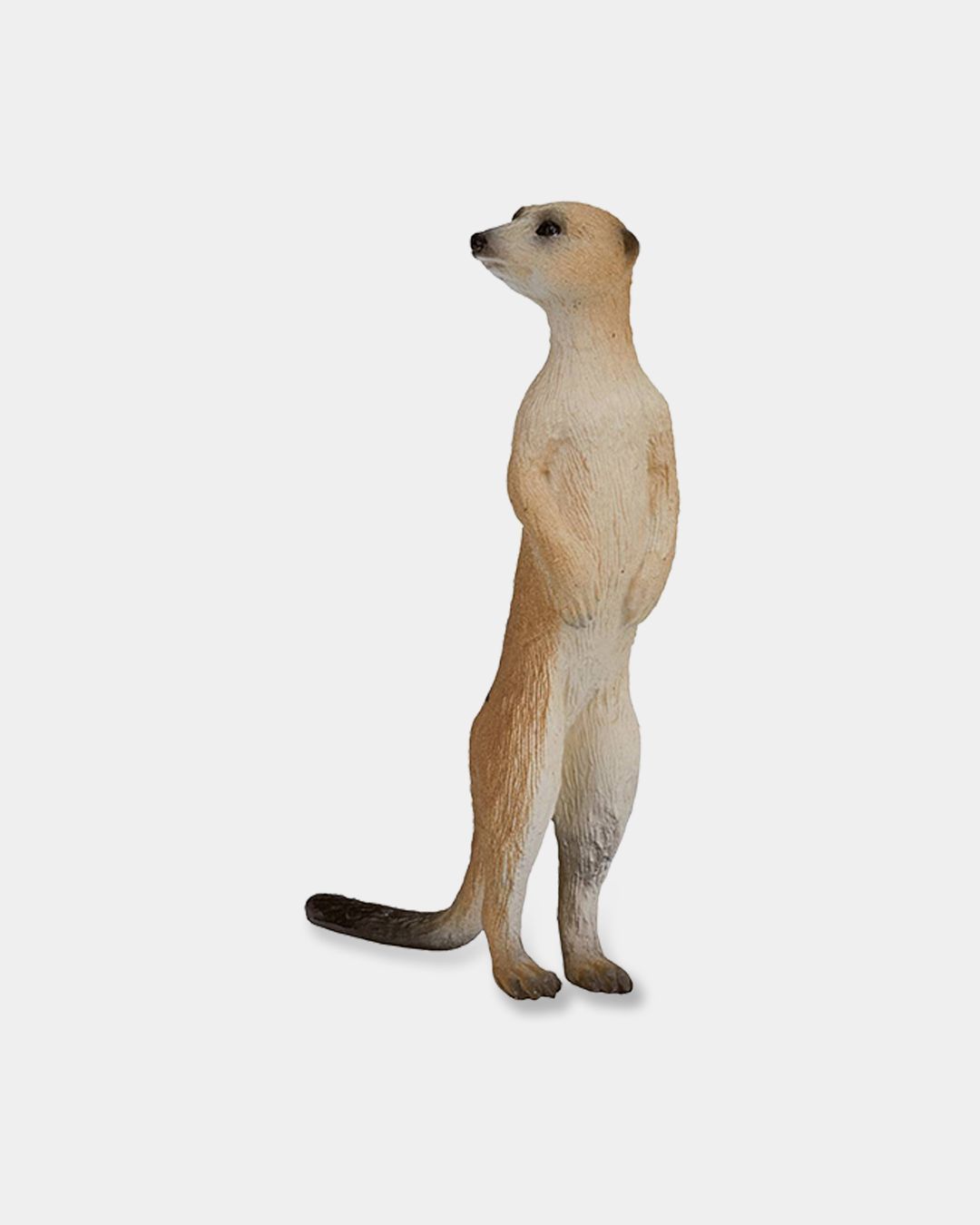 Купить Сурикат KONIK