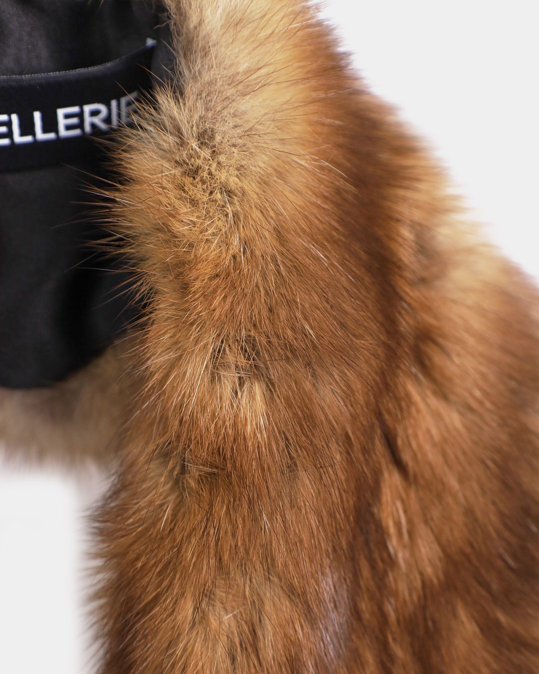 Купить Воротник SENCELLERIE