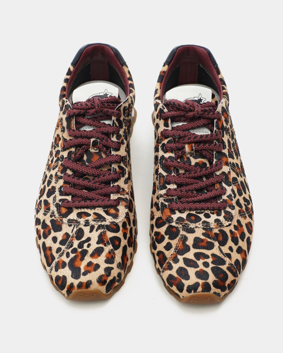 Купить Кроссовки ASH