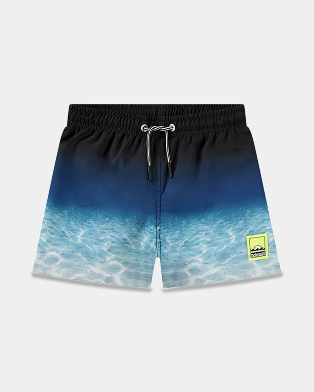 Купить Пляжные шорты MOLO