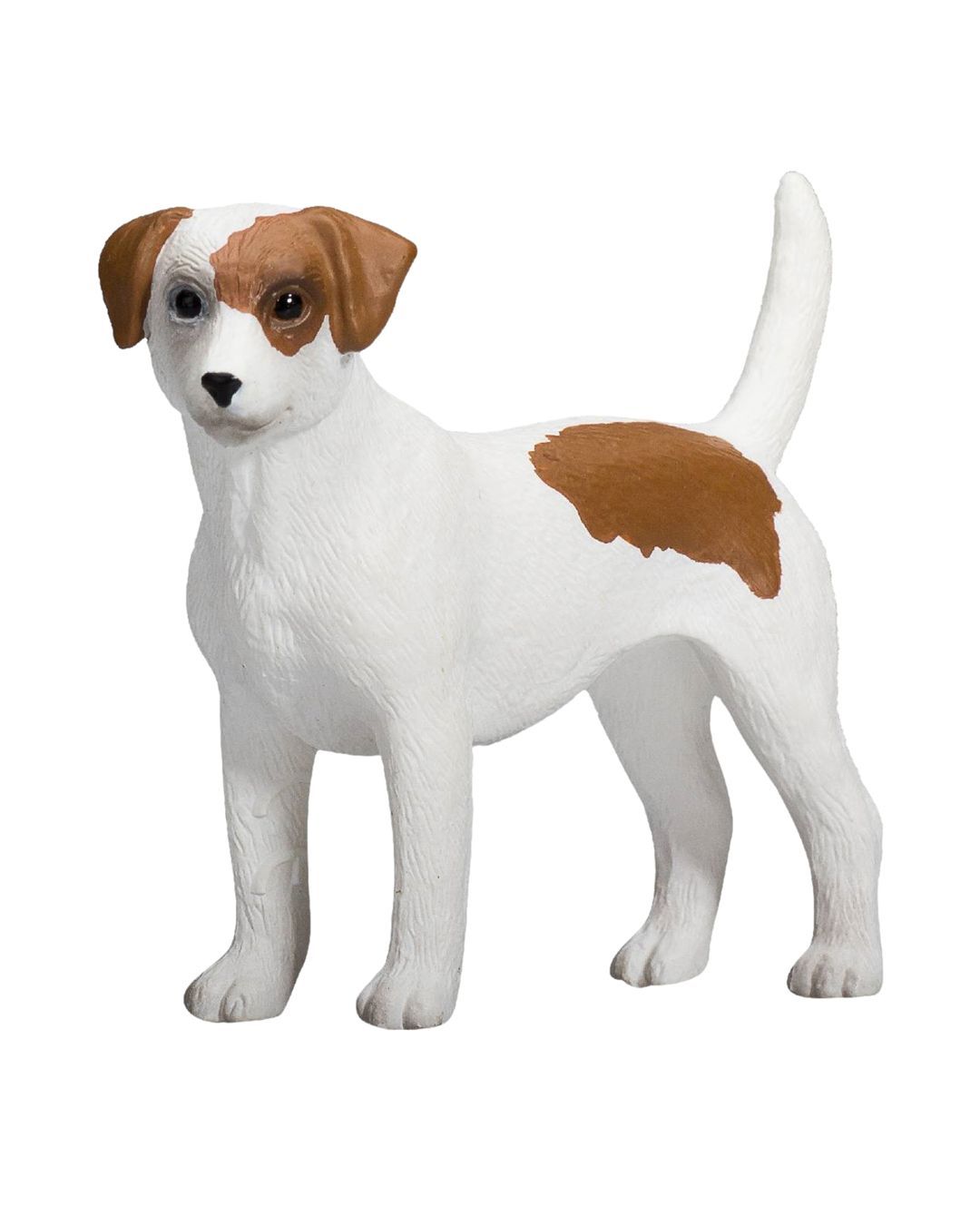 Купить Джек-рассел-терьер KONIK