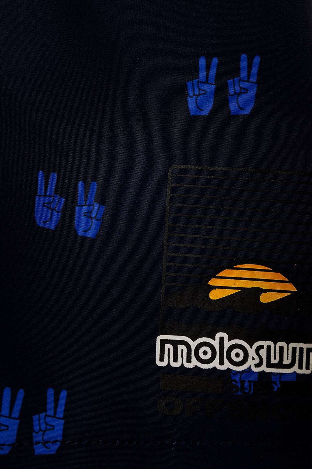 Купить Шорты пляжные MOLO