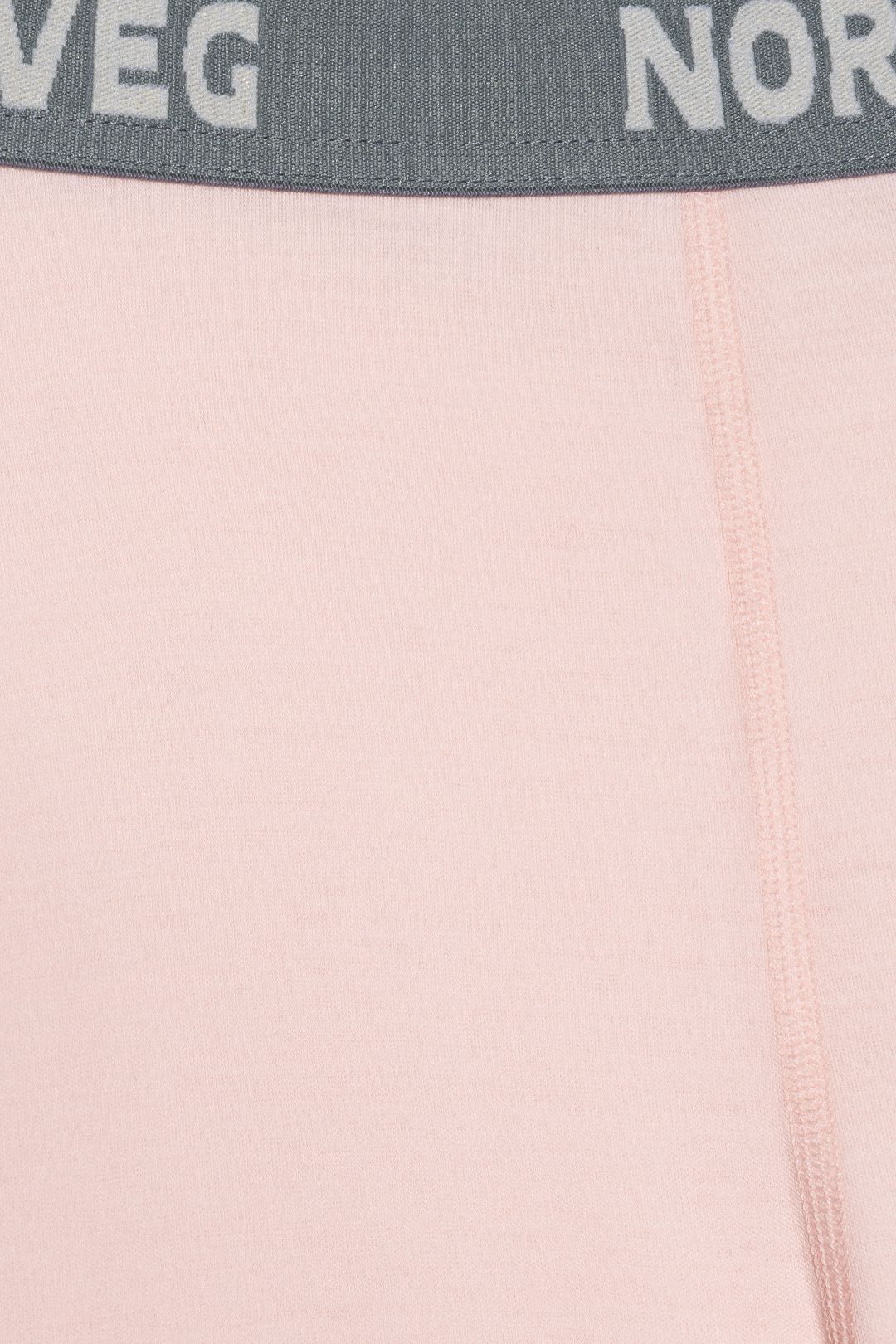 Купить Брюки NORVEG