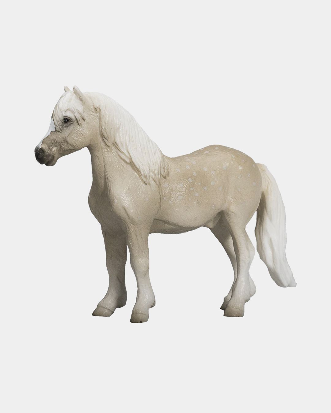 Купить Уэльский пони KONIK