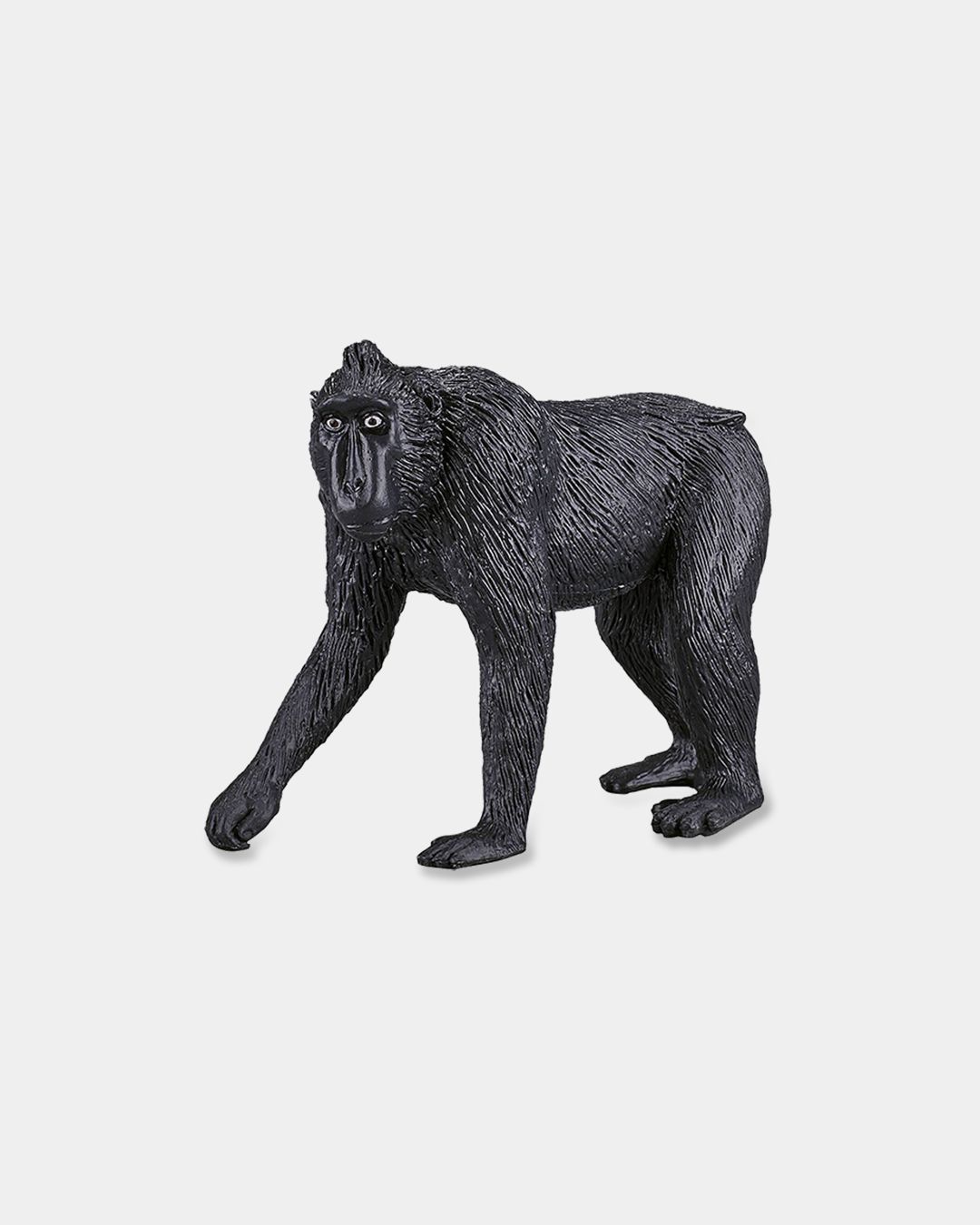 Купить Хохлатый павиан KONIK