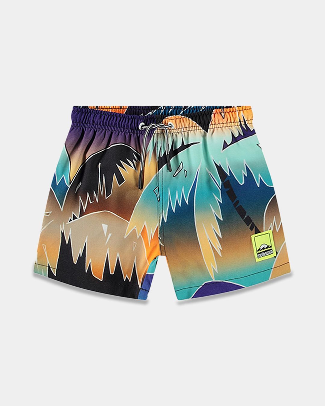 Купить Пляжные шорты MOLO KIDS