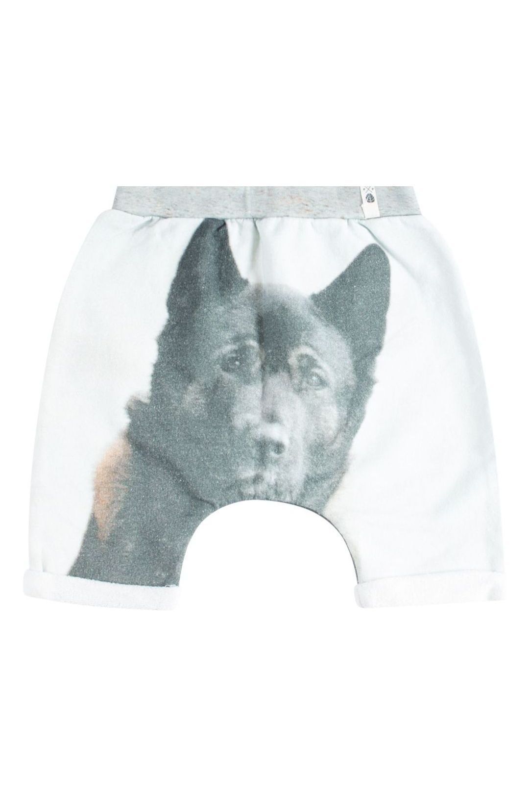 Купить Шорты POPUPSHOP