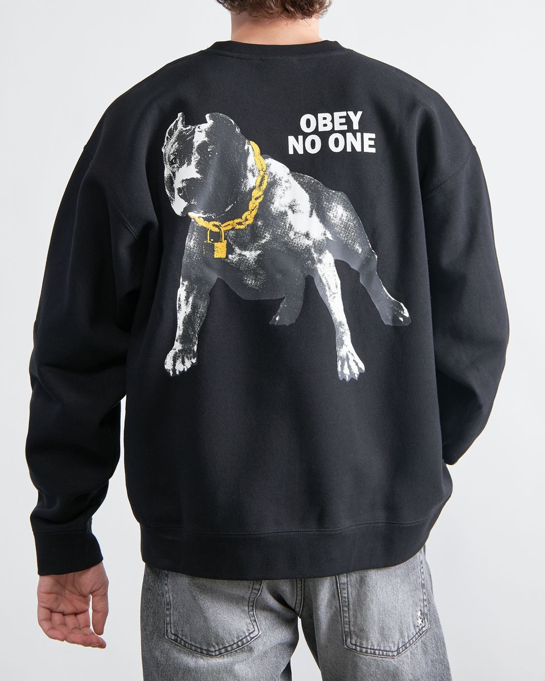 Купить Свитшот OBEY