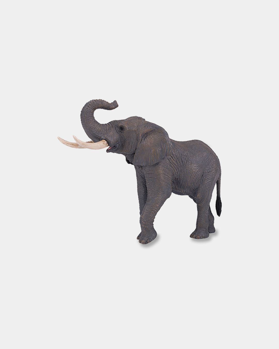 Купить Африканский слон самец KONIK