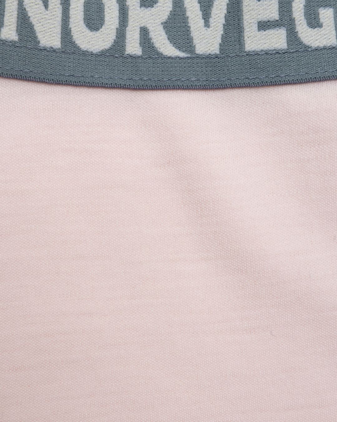 Купить Брюки NORVEG