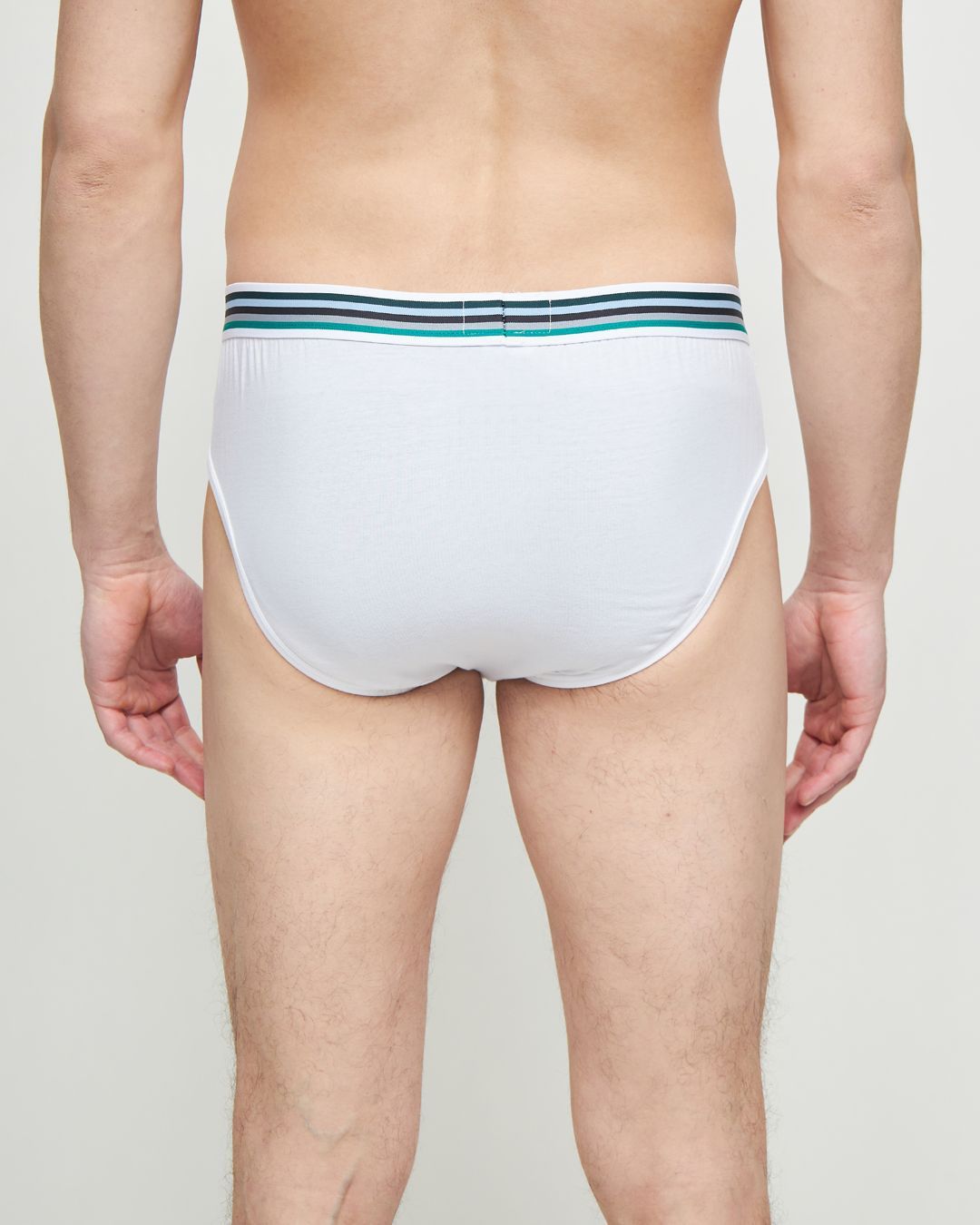 Купить Плавки ZEGNA