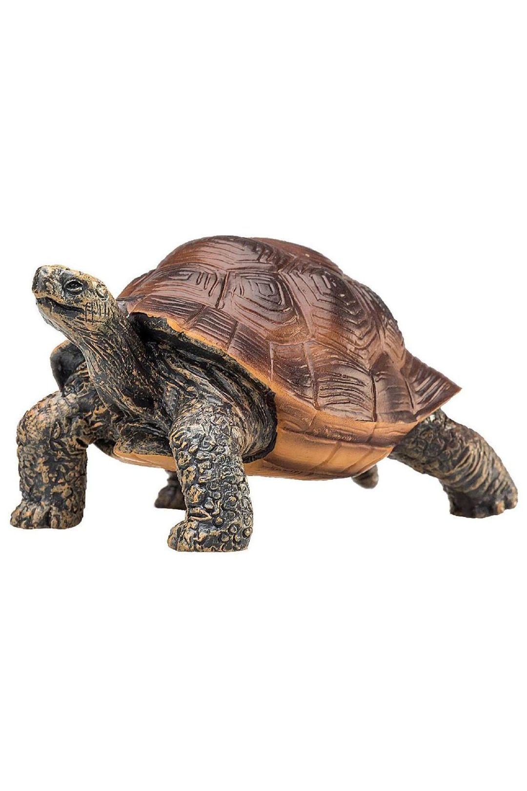 Купить Гигантская черепаха KONIK