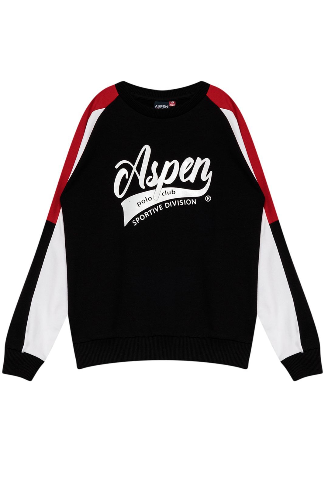 Купить Свитшот ASPEN POLO CLUB
