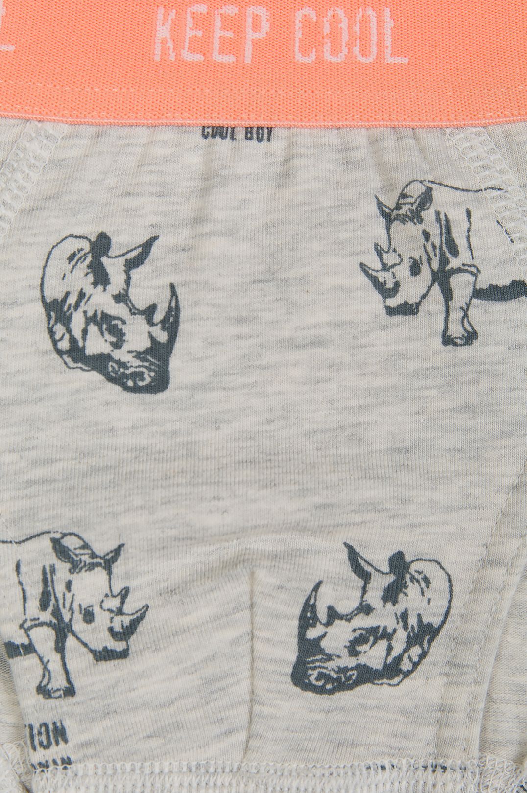 Купить Плавки SANETTA