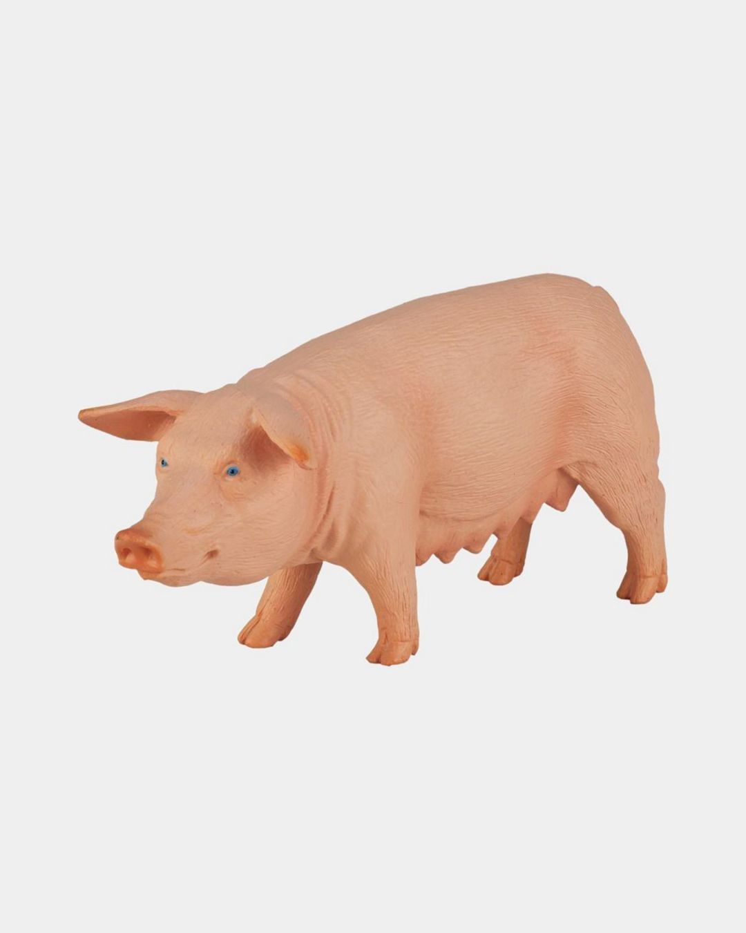 Купить Свинья самка KONIK