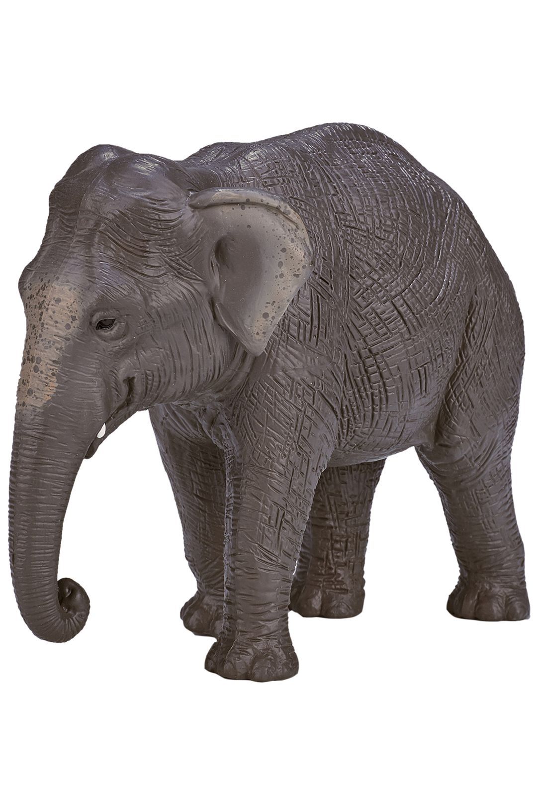 Купить Азиатский слон amw2115 KONIK