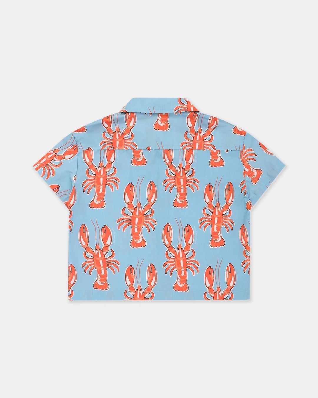 Купить Рубашка DAN MARALEX