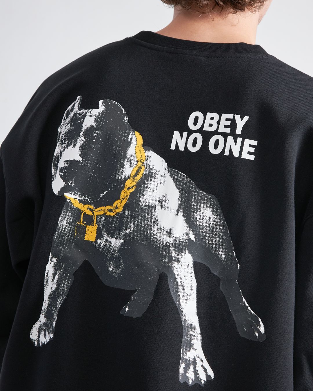 Купить Свитшот OBEY