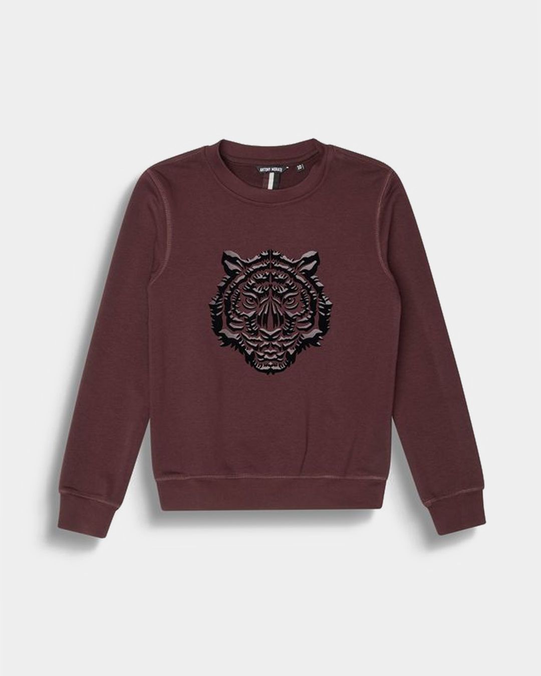 Купить Свитшот ANTONY MORATO KIDS