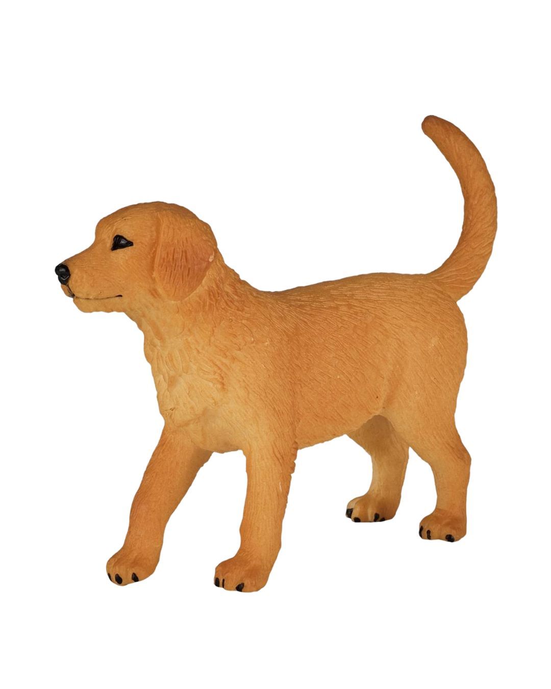 Купить Золотистый ретривер щенок KONIK