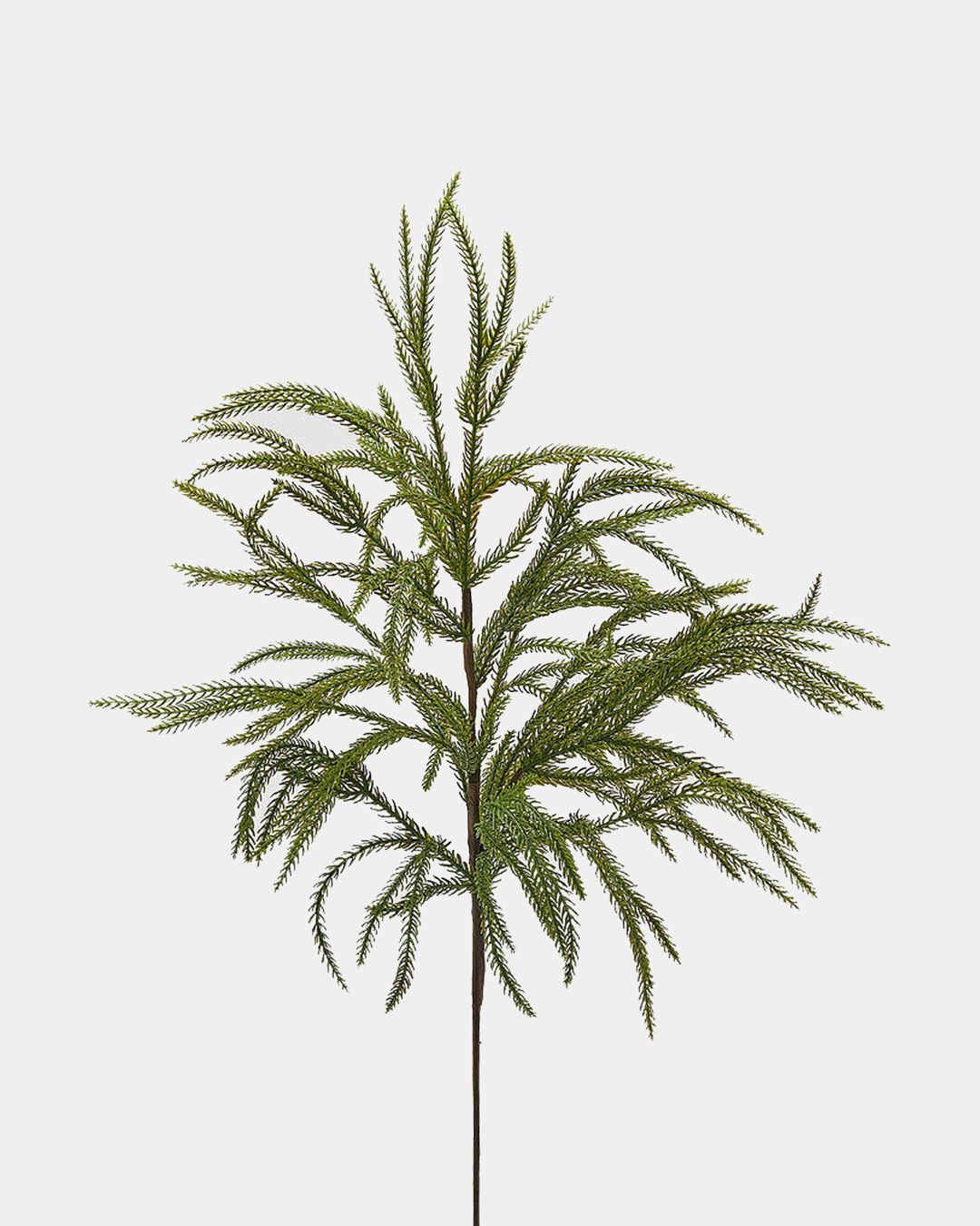 Купить Ветка EDG