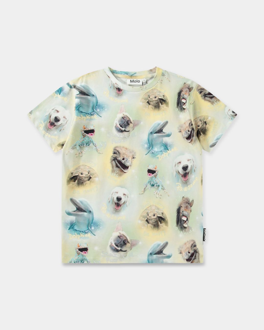 Купить Футболка MOLO KIDS