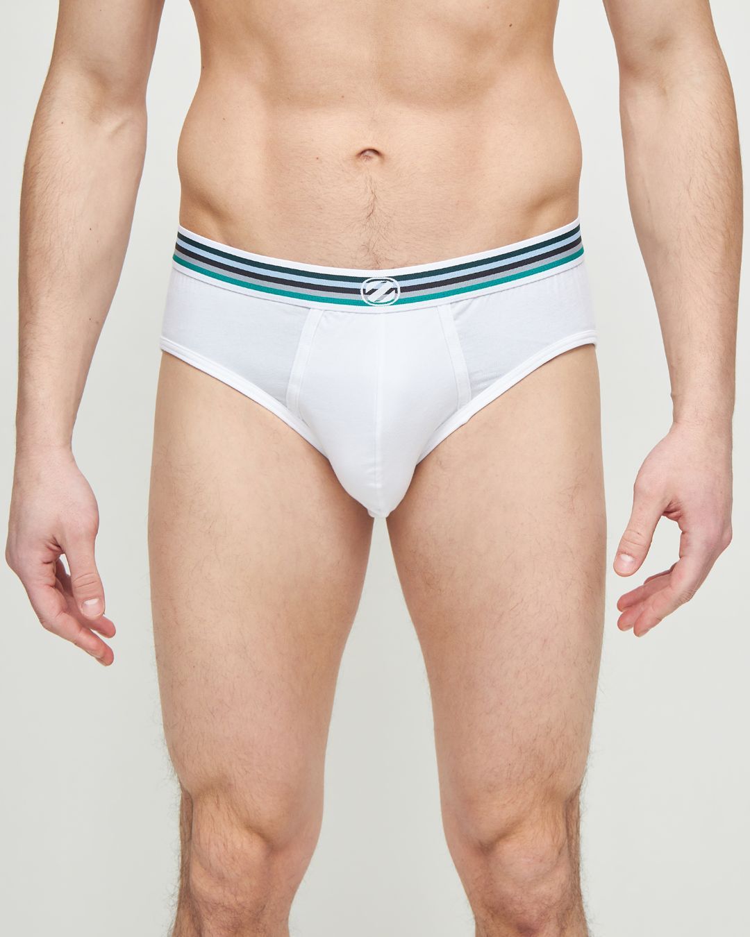 Купить Плавки ZEGNA