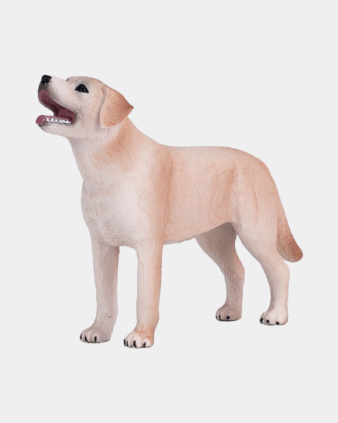 Купить Лабрадор KONIK