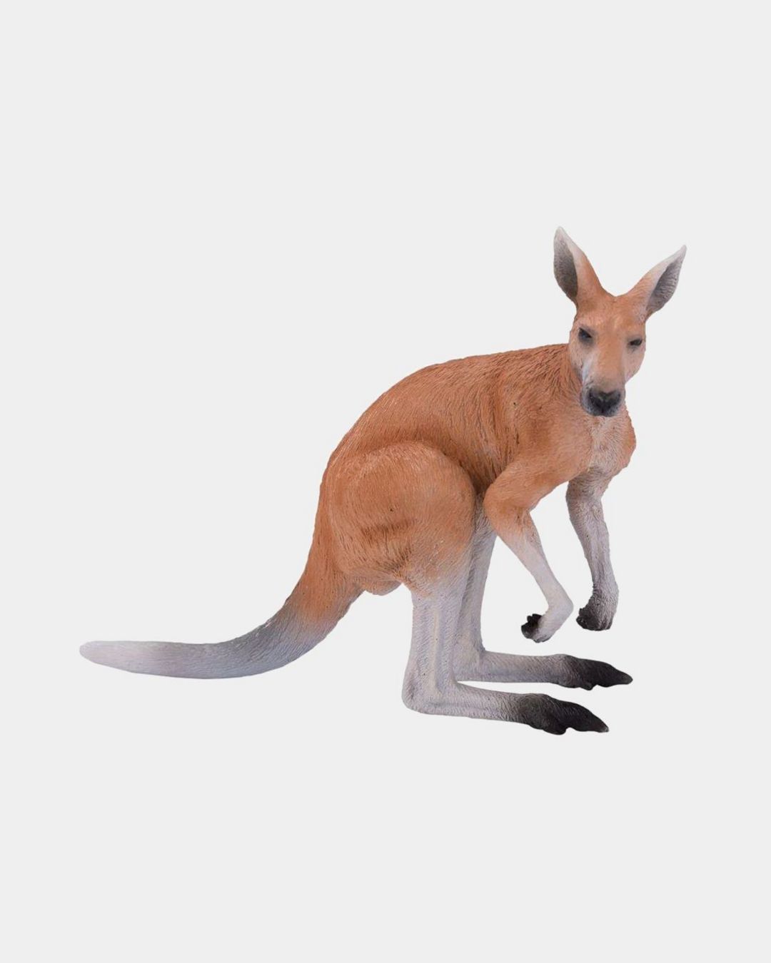 Купить Кенгуру KONIK