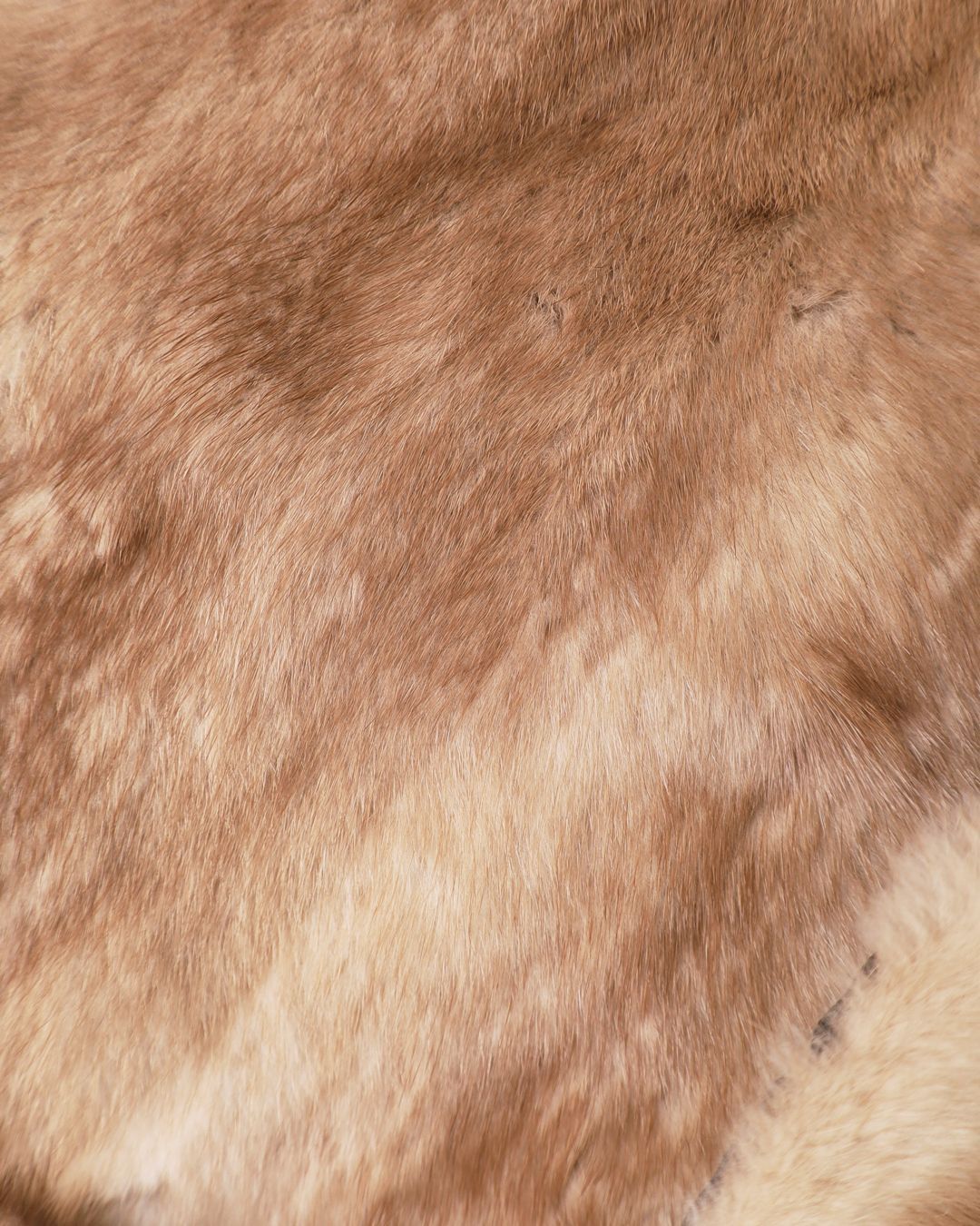 Купить Шарф SENCELLERIE