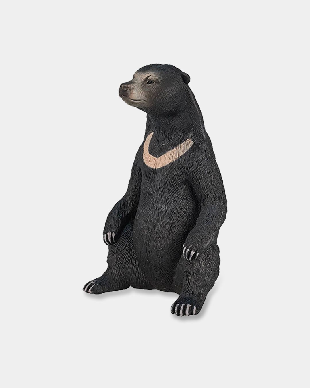 Купить Малайский медведь KONIK