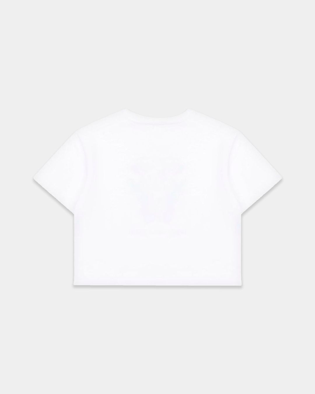 Купить Футболка DOLCE & GABBANA