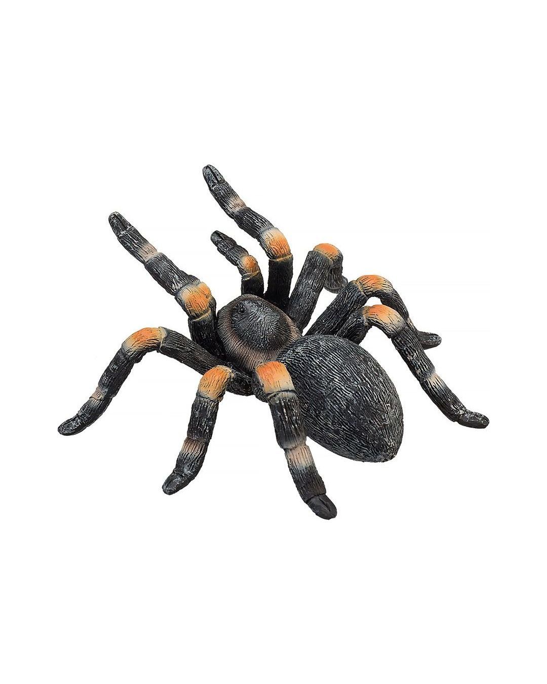 Купить Красноколенный тарантул KONIK