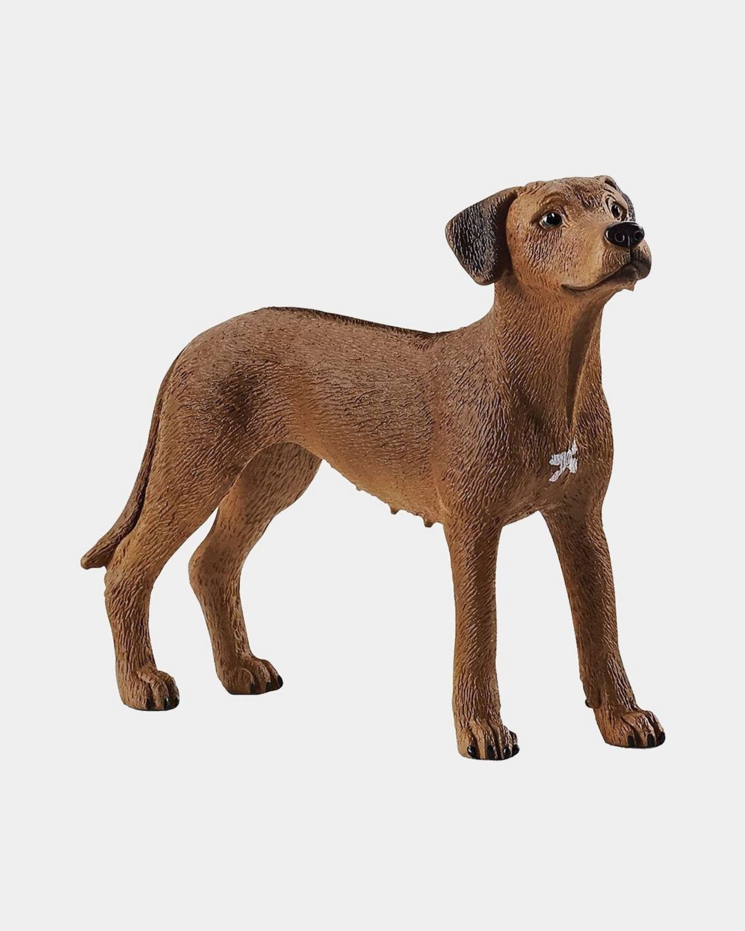 Купить Родезийский риджбек 13895 SCHLEICH