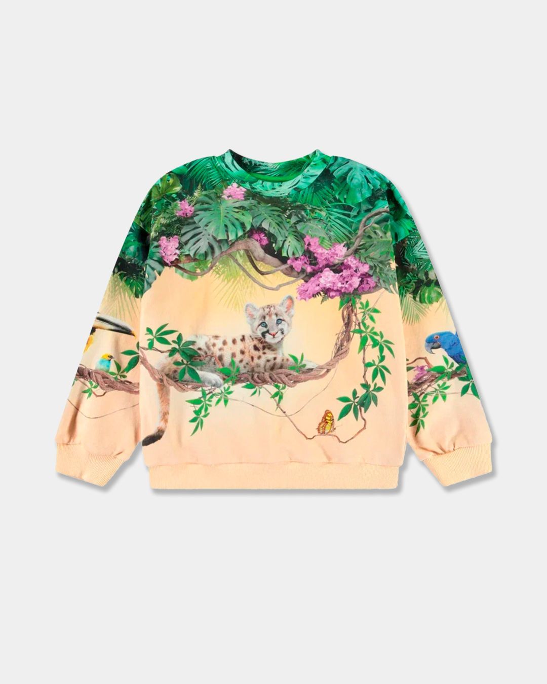 Купить Свитшот MOLO