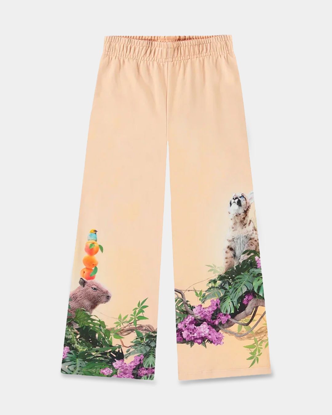 Купить Брюки спортивные MOLO