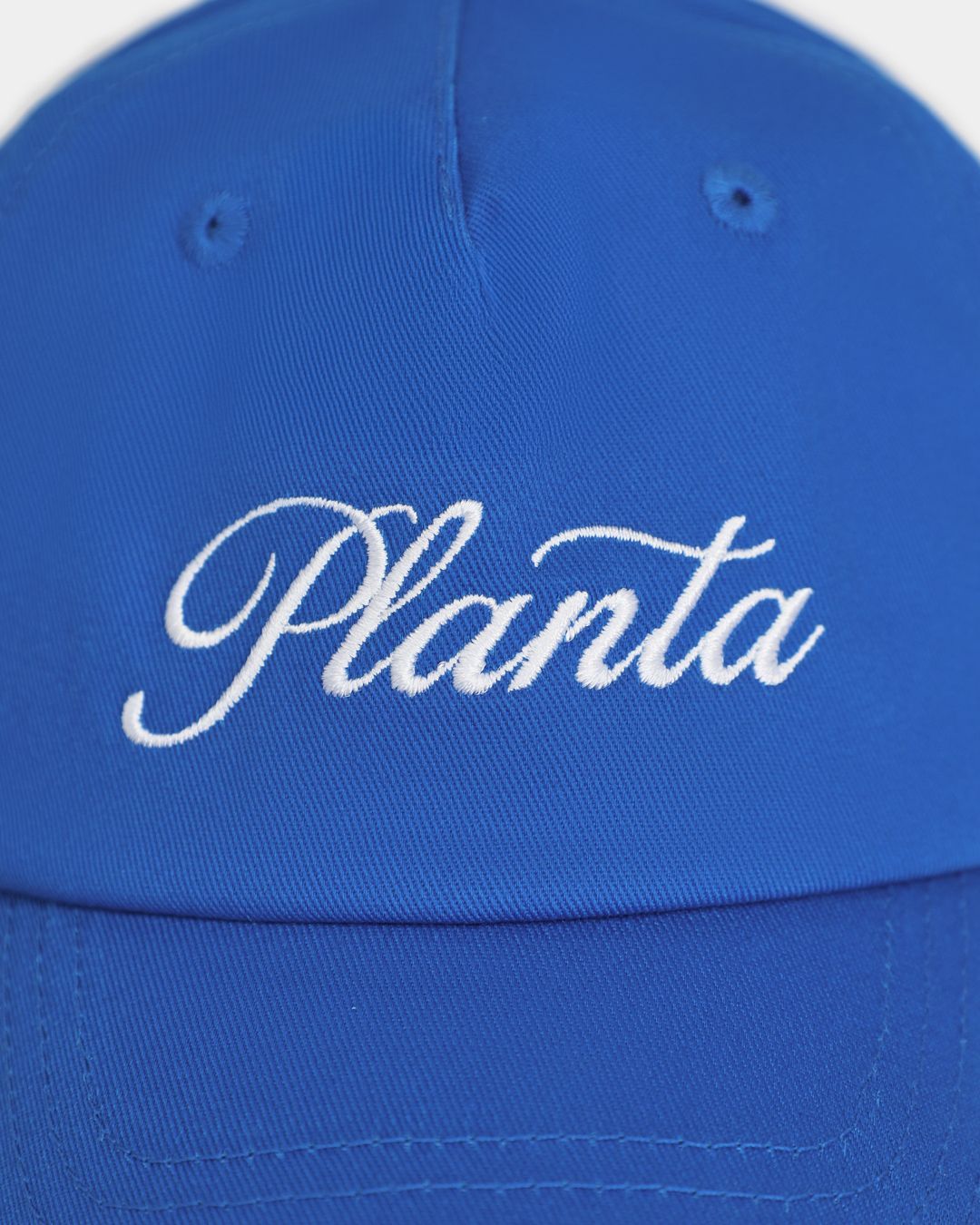 Купить Кепка PLANTA ROSA