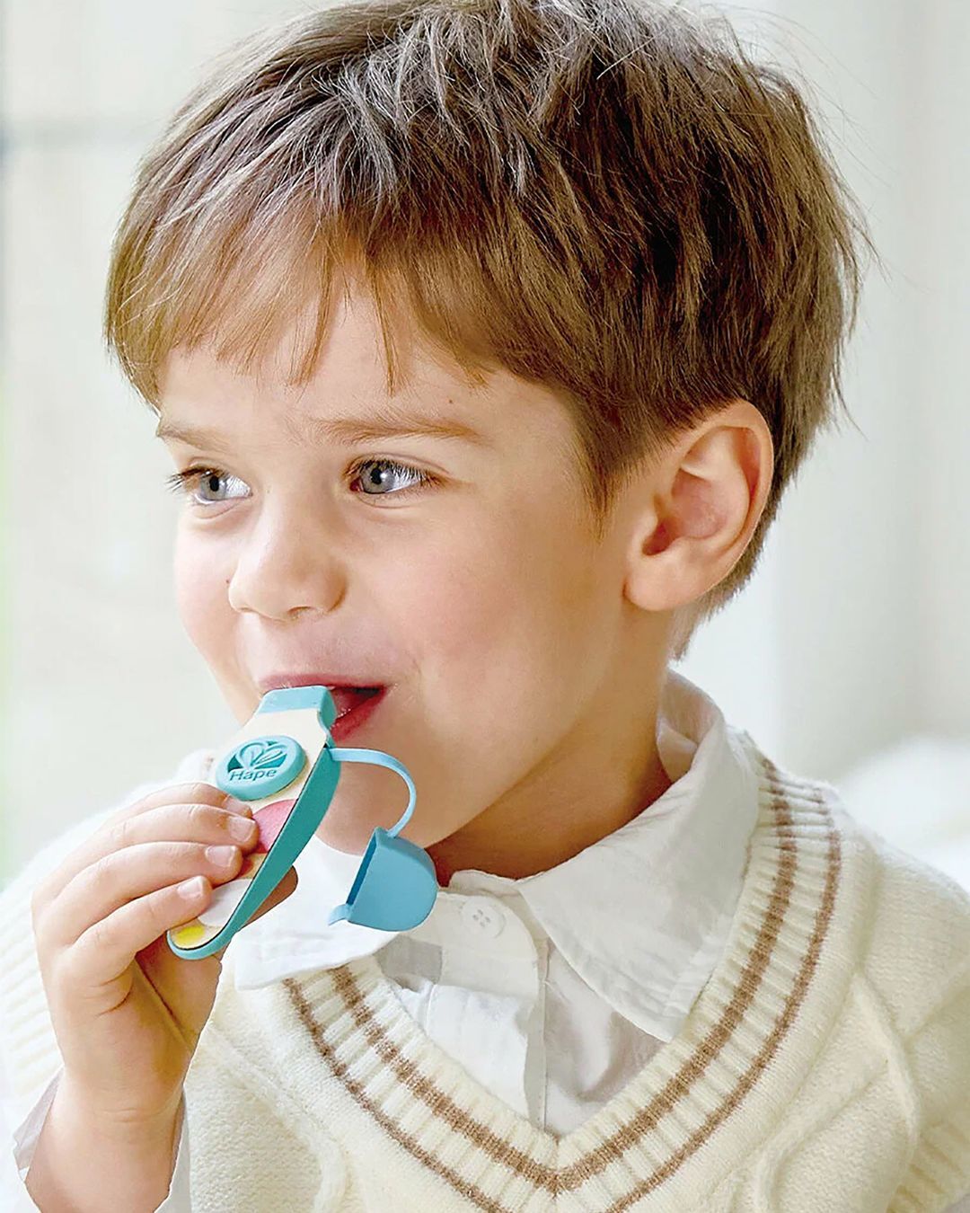 Купить Музыкальная игрушка карманный казу HAPE