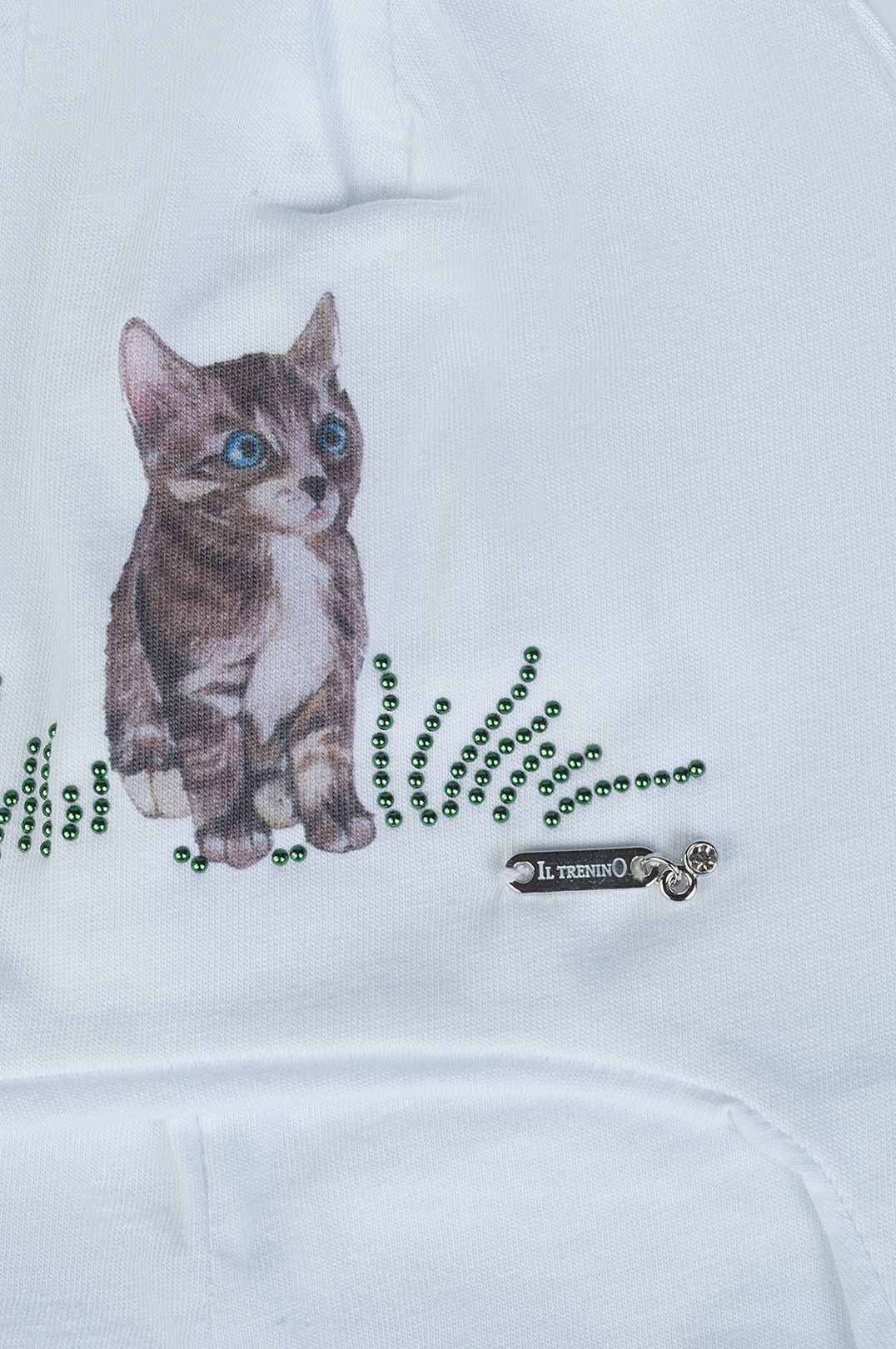 Купить Шапка IL TRENINO