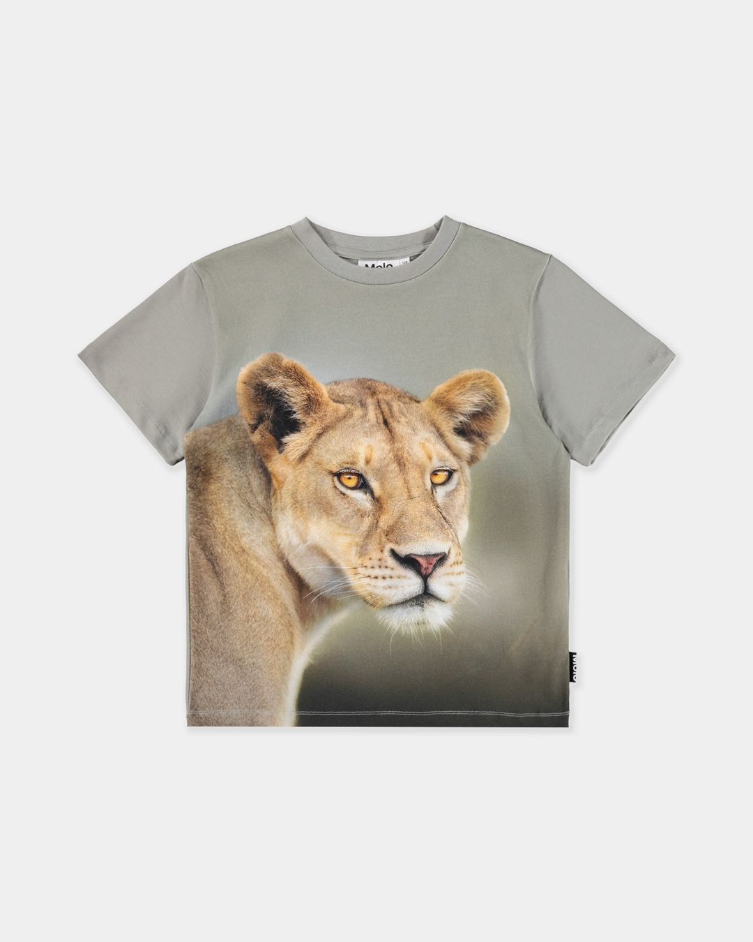 Купить Футболка MOLO