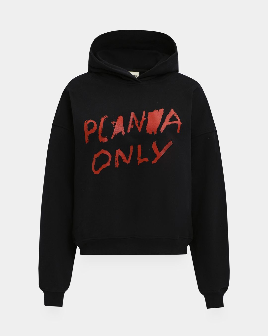 Купить Худи PLANTA ROSA