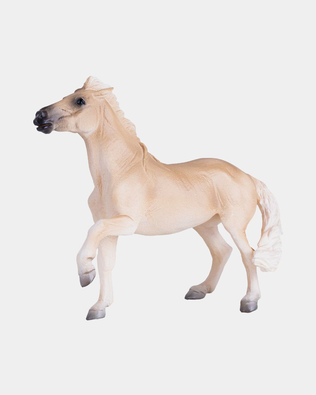 Купить Кобыла брамби KONIK