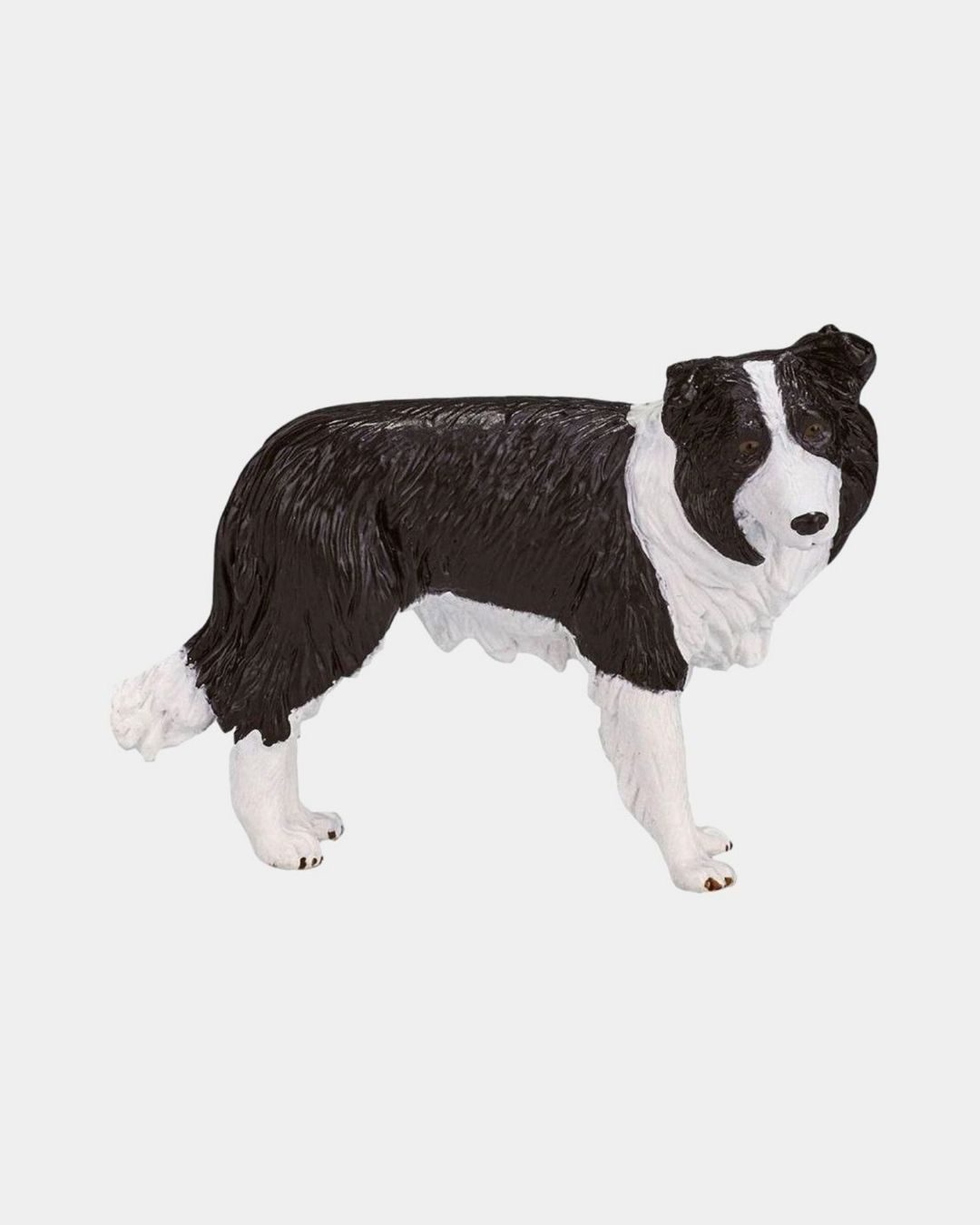 Купить Бордер-колли KONIK