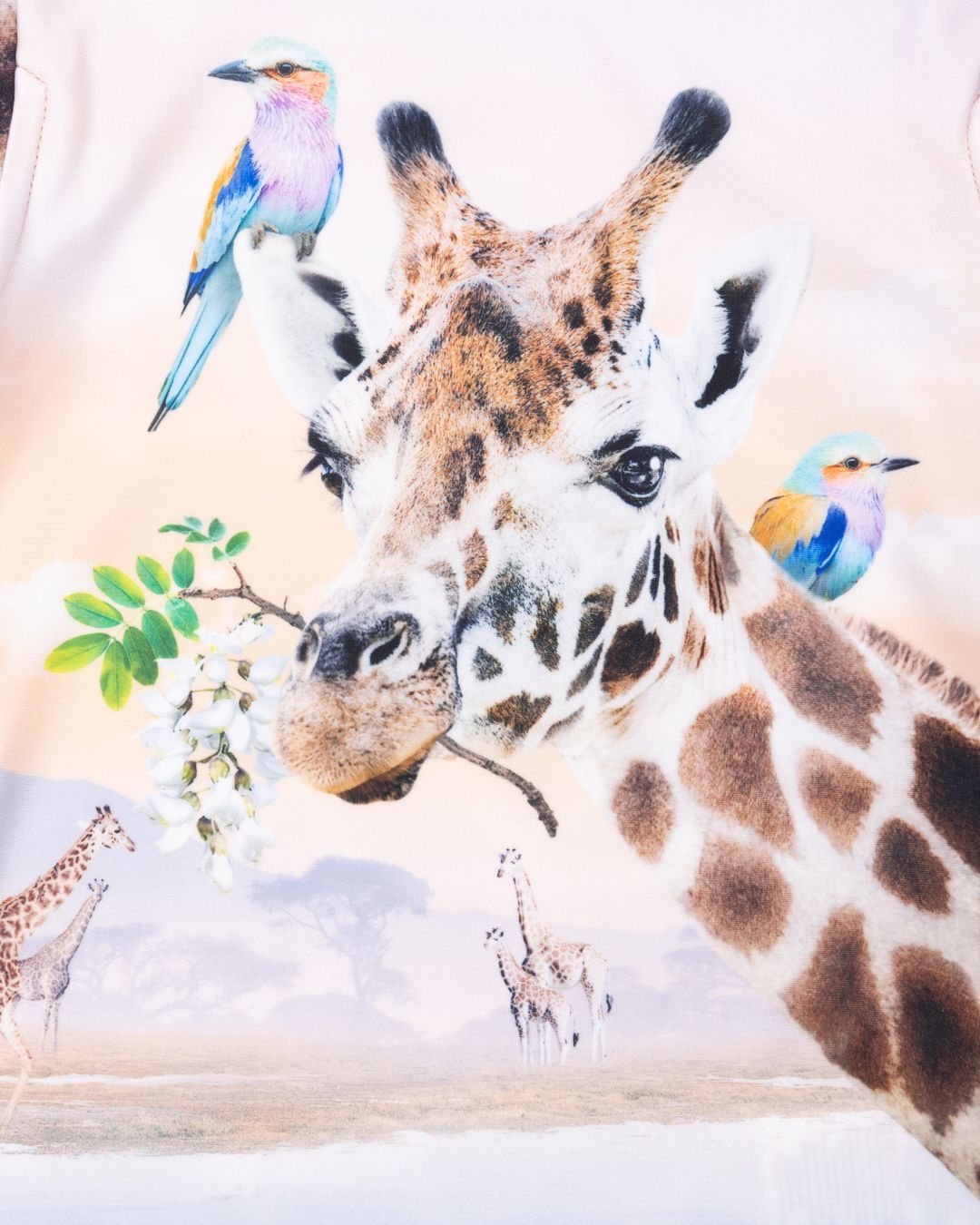 Купить Футболка MOLO