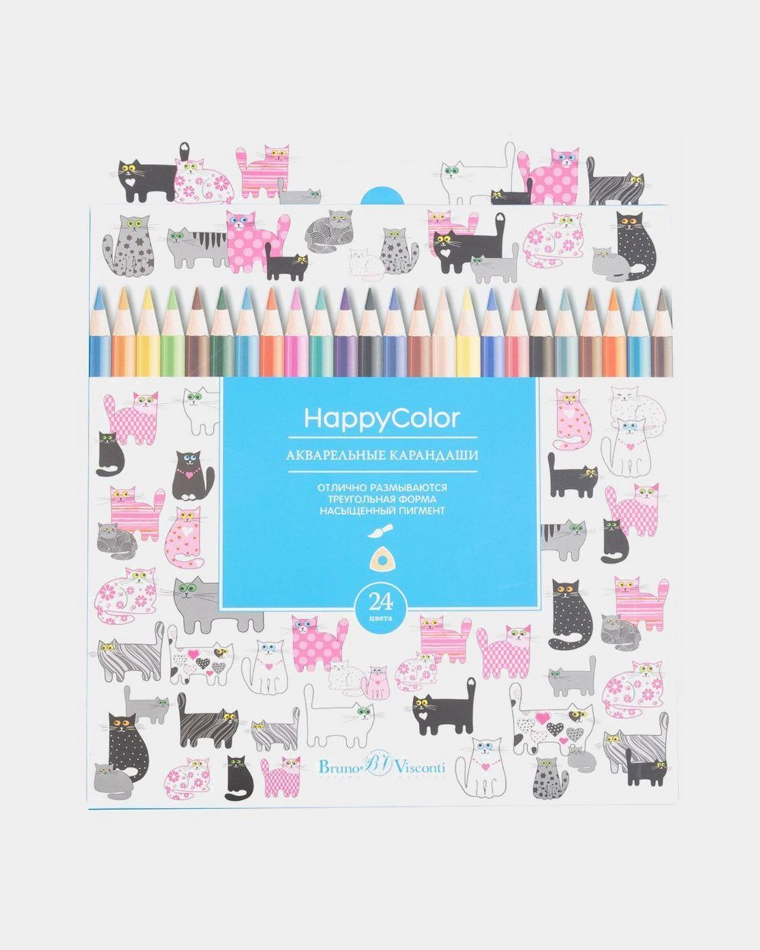 Купить Карандаши аквар. 24цв BRUNO VISCONTI