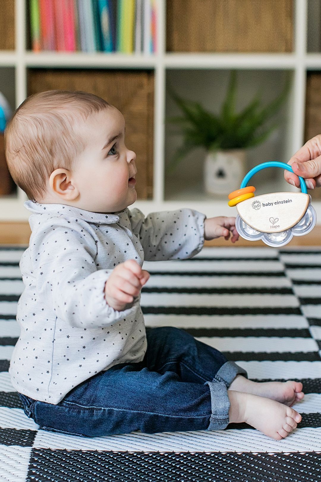 Купить Музыкальная игрушка 2 в 1: бубен и погремушка HAPE