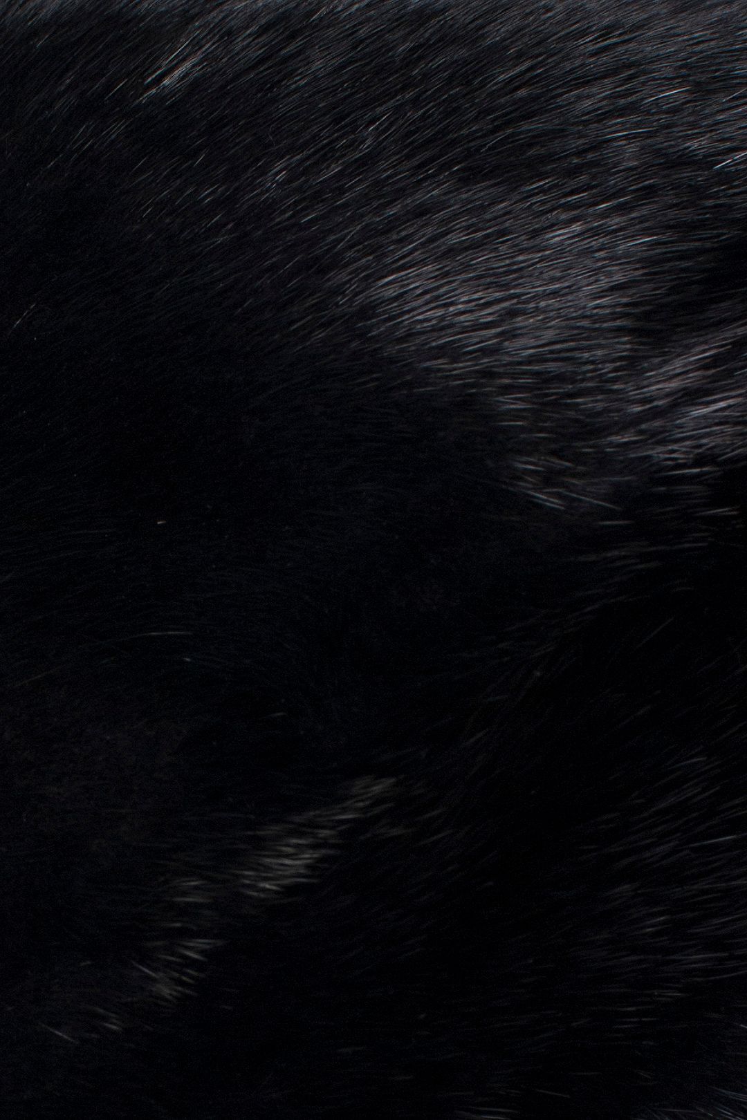 Купить Берет YVES SALOMON