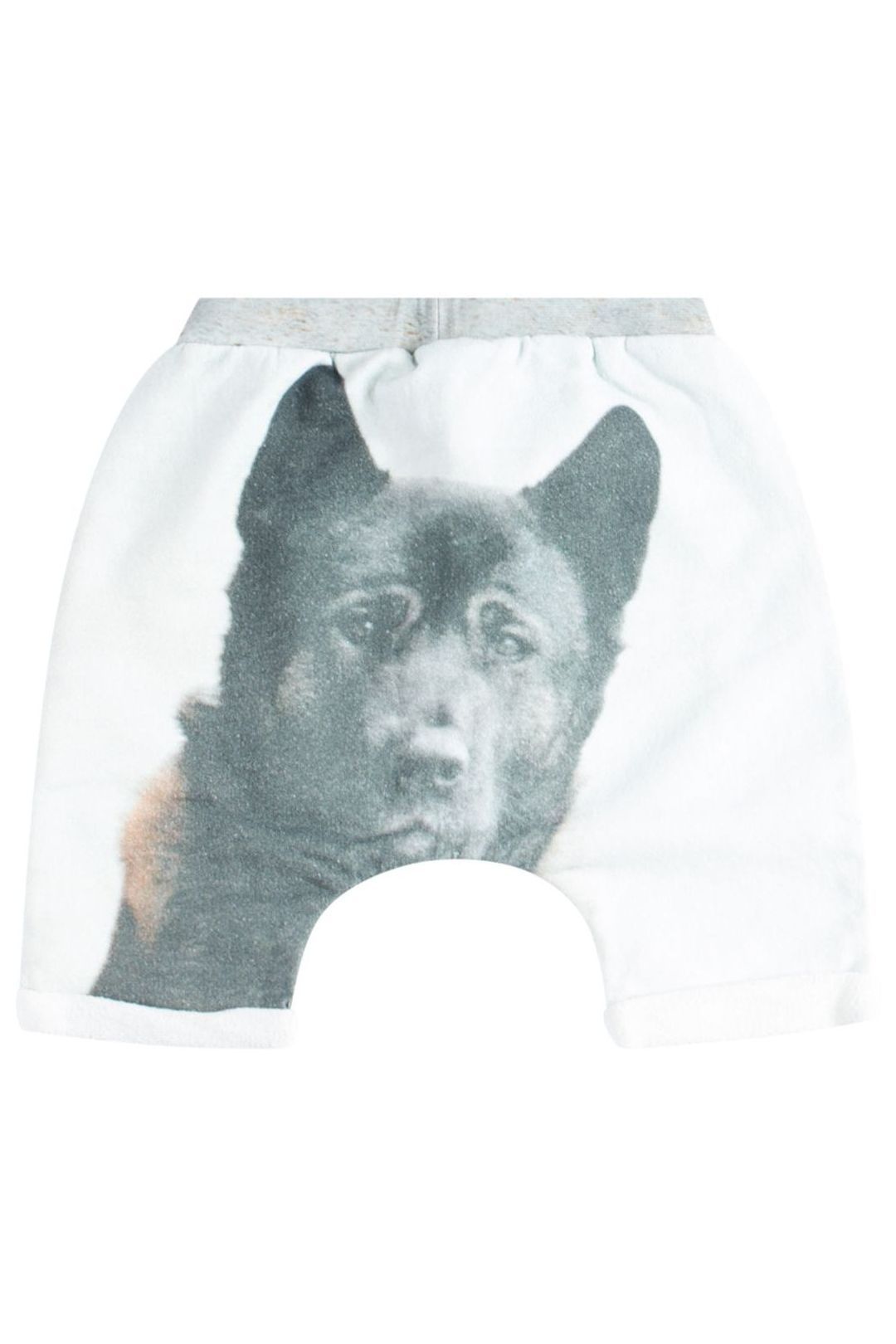 Купить Шорты POPUPSHOP